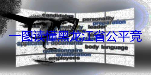 一图读懂黑竞争审查文书制度龙江省公平
